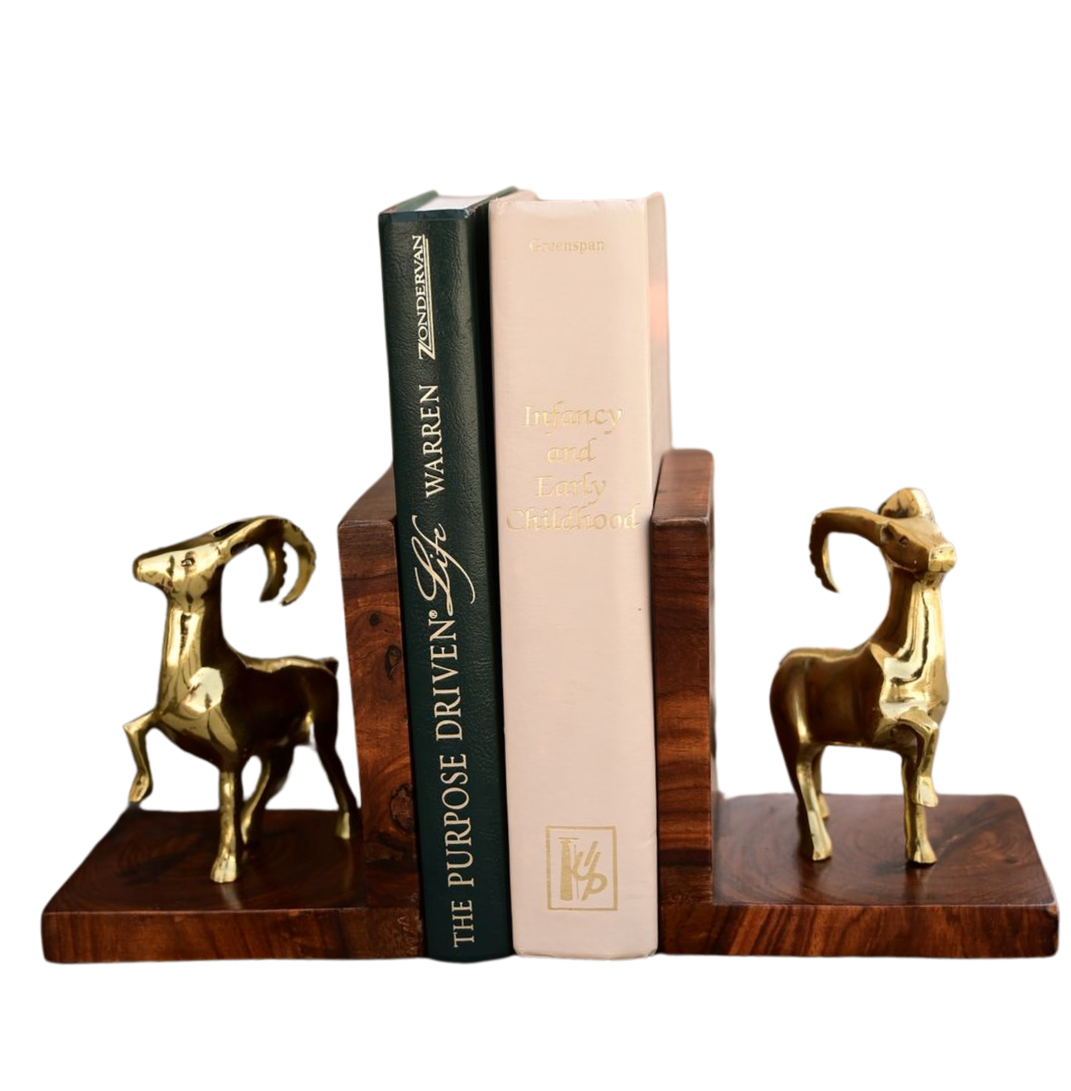Bookends – Muse Official