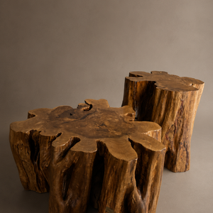 Coffee table set