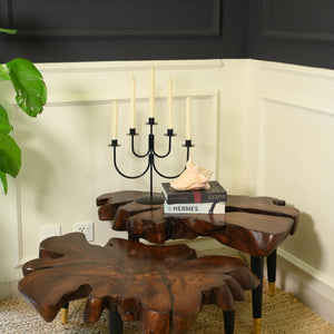 Sheesham centre table set of 2