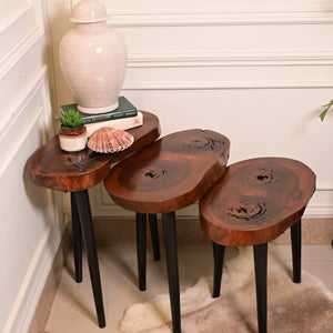Sheesham Nesting Table set of 3