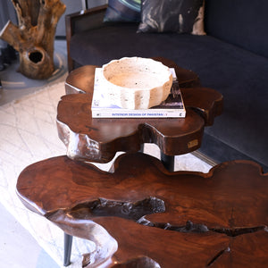 Sheesham centre table set