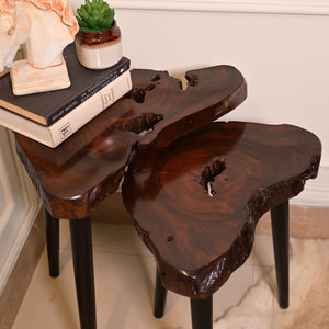 Sheesham Nesting table set of 2