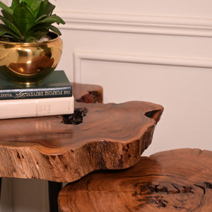 Keekar nesting table set of 2