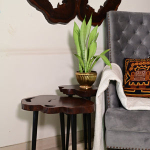 Nesting Table Set of 2 With Golden Legs