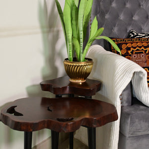 Nesting Table Set of 2 With Golden Legs