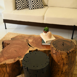 Neem Centre Table With 2 Cylinder Tables