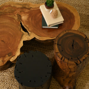 Neem Centre Table With 2 Cylinder Tables