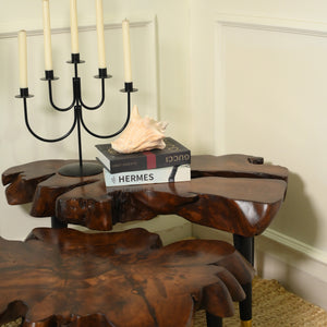 Sheesham centre table set of 2
