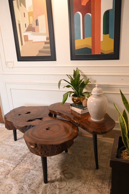 Sheesham centre table set of 2