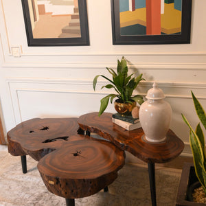Sheesham centre table set of 2