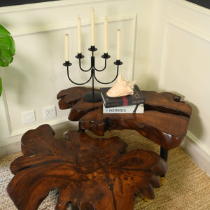 Sheesham centre table set of 2