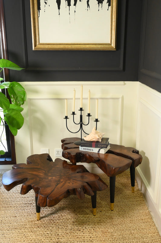 Sheesham centre table set of 2