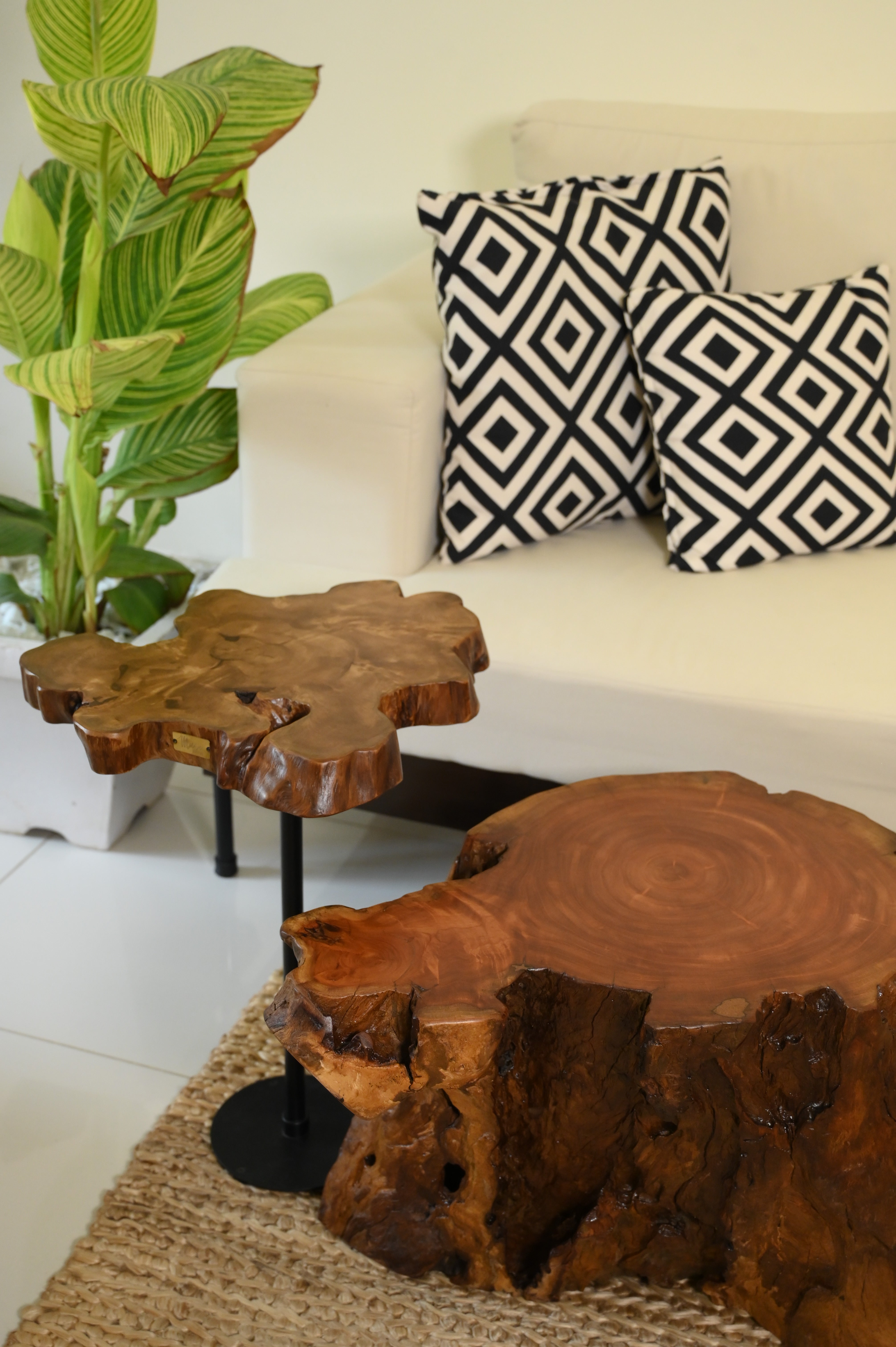 Sheesham Coffee Table Set of 2