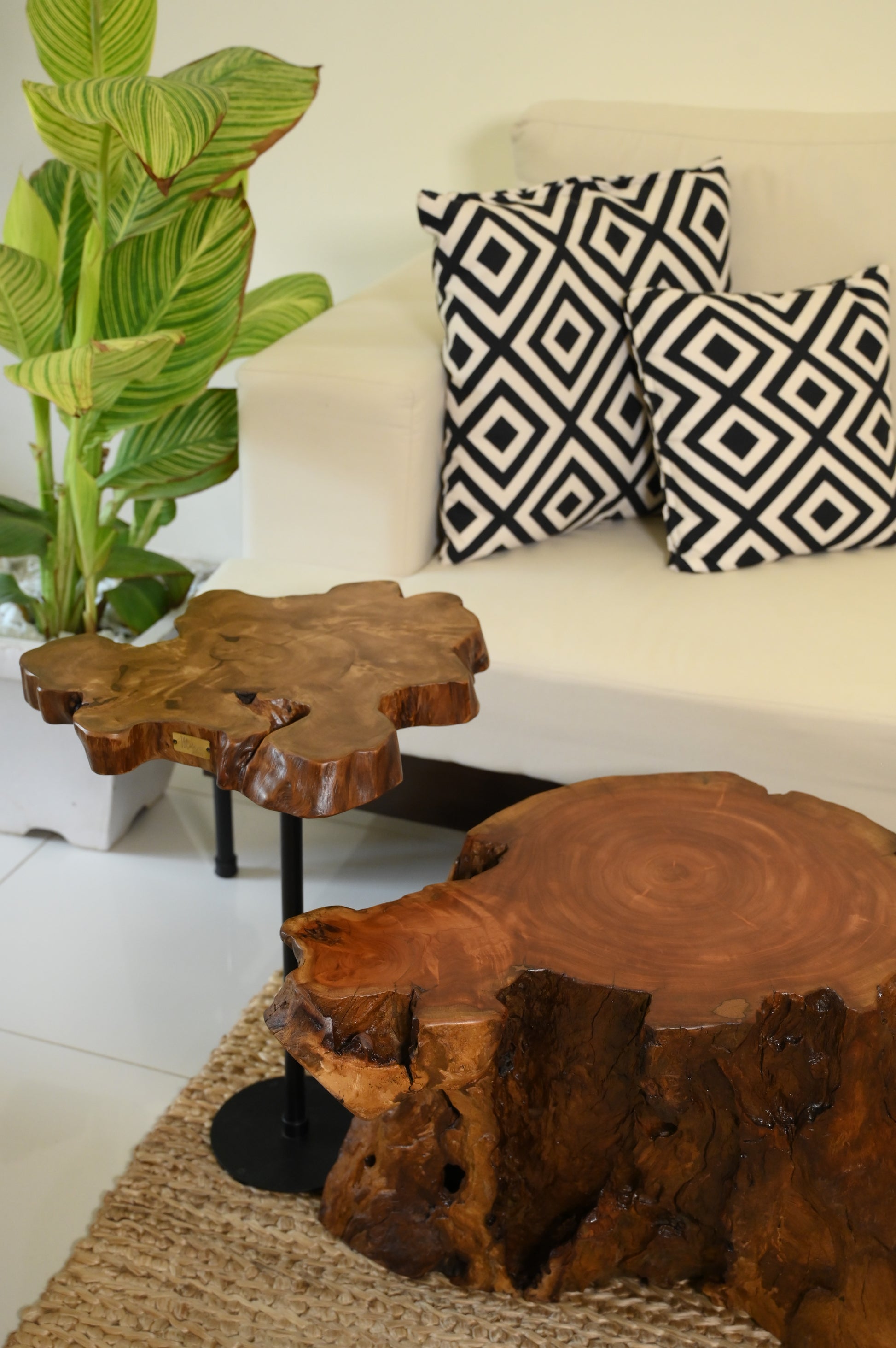 Sheesham Coffee Table Set of 2