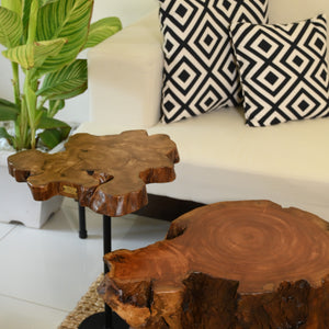 Sheesham Coffee Table Set of 2