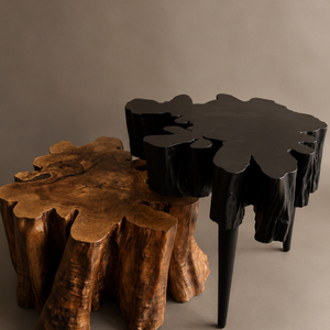 Coffee table set