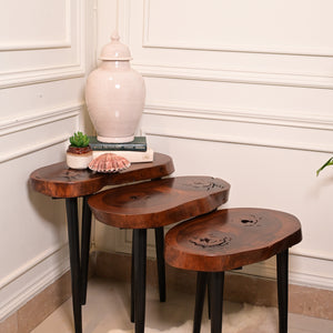 Sheesham Nesting Table set of 3