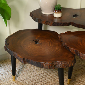 Sheesham Centre Table Set of 3