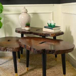 Sheesham Centre Table Set of 3