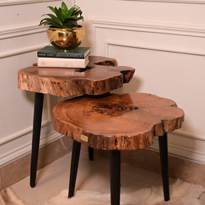 Keekar nesting table set of 2