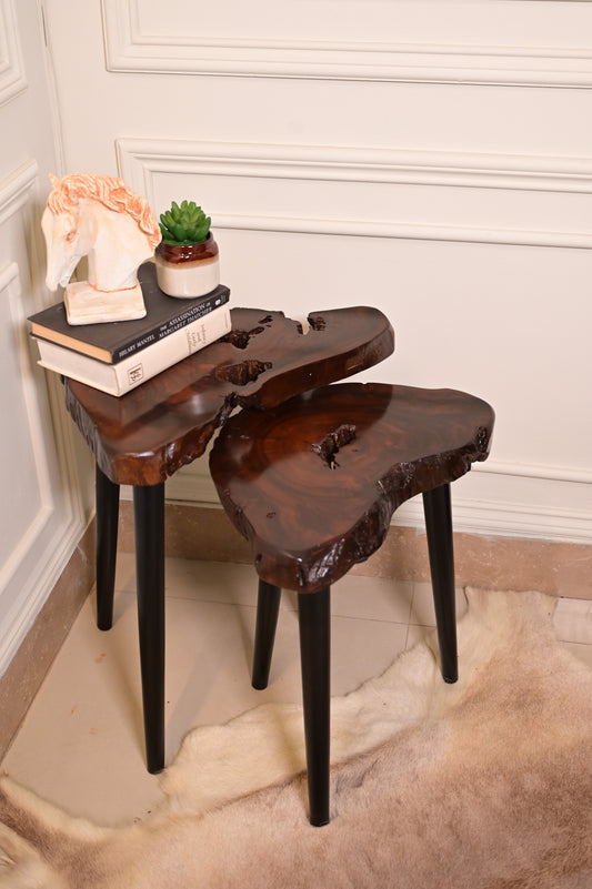 Sheesham Nesting table set of 2