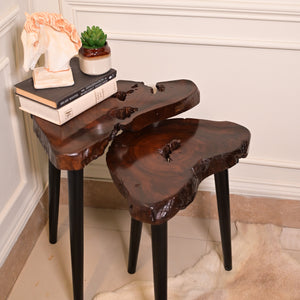 Sheesham Nesting table set of 2