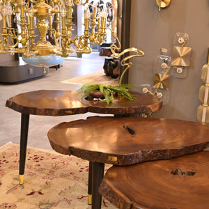 Sheesham centre table set of 3