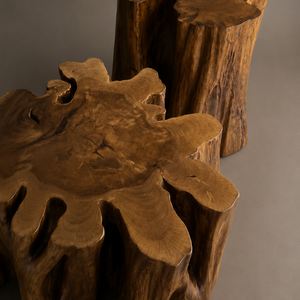 Coffee table set