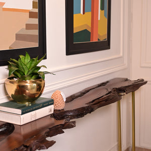 Live edge console with 5 golden stainless steel legs