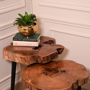 Keekar nesting table set of 2
