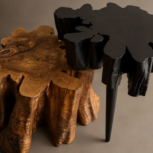Coffee table set
