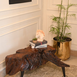 Single coffee table