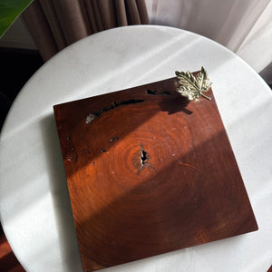 Maple leaf square coaster C05