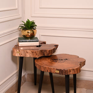 Keekar nesting table set of 2
