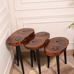 Sheesham Nesting Table set of 3