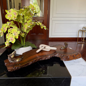 Horse head Tray (elevated) 084
