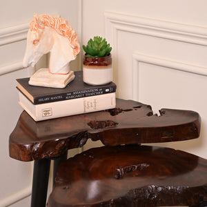 Sheesham Nesting table set of 2