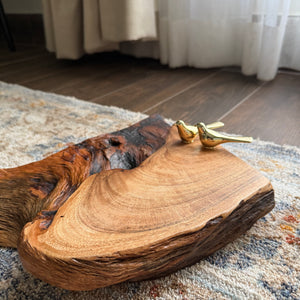 Humming bird platter/tray 400