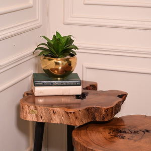 Keekar nesting table set of 2