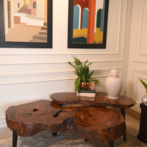 Sheesham centre table set of 2