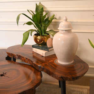 Sheesham centre table set of 2