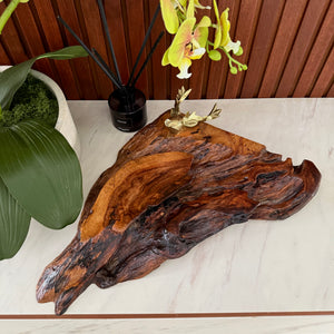 Deer head sculpture 436