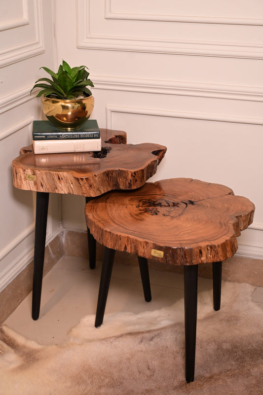 Keekar nesting table set of 2