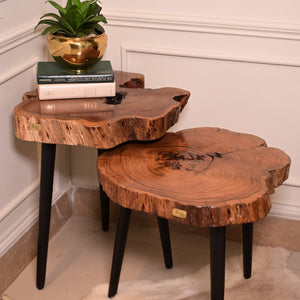 Keekar nesting table set of 2
