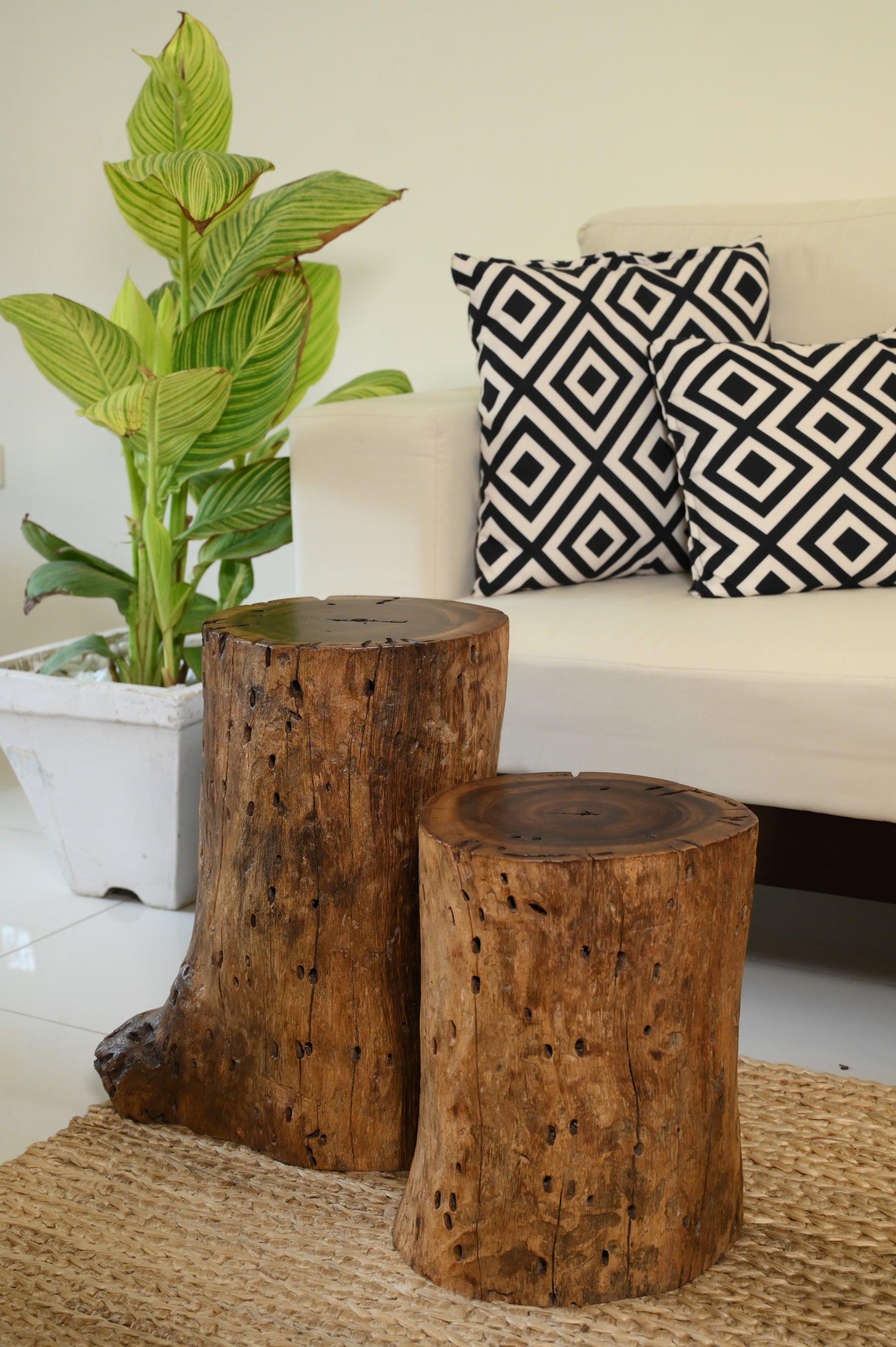 Set of 2