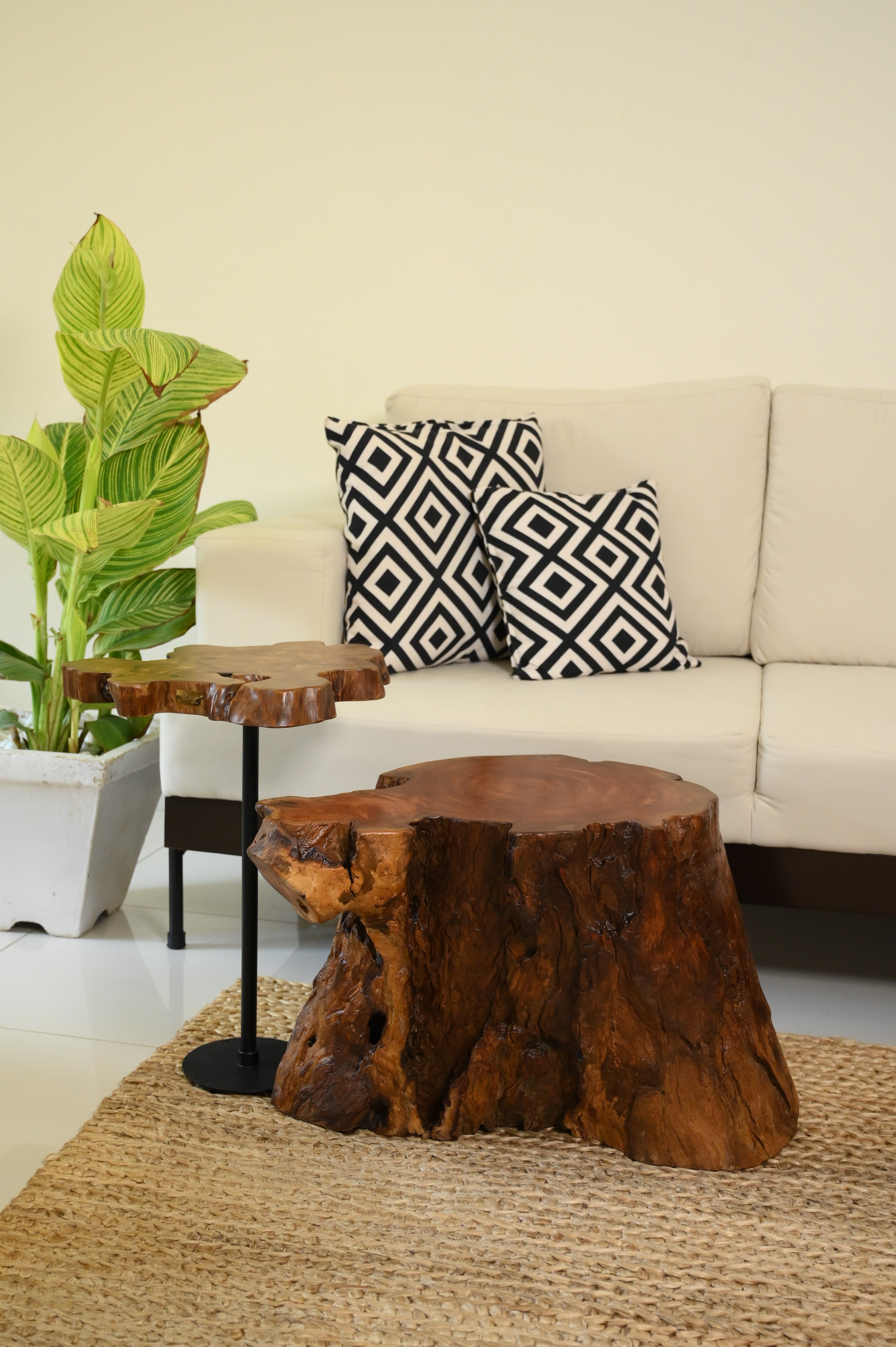 Sheesham Coffee Table Set of 2