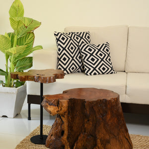 Sheesham Coffee Table Set of 2