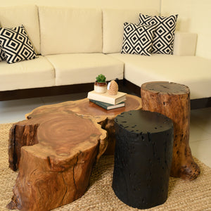 Neem Centre Table With 2 Cylinder Tables