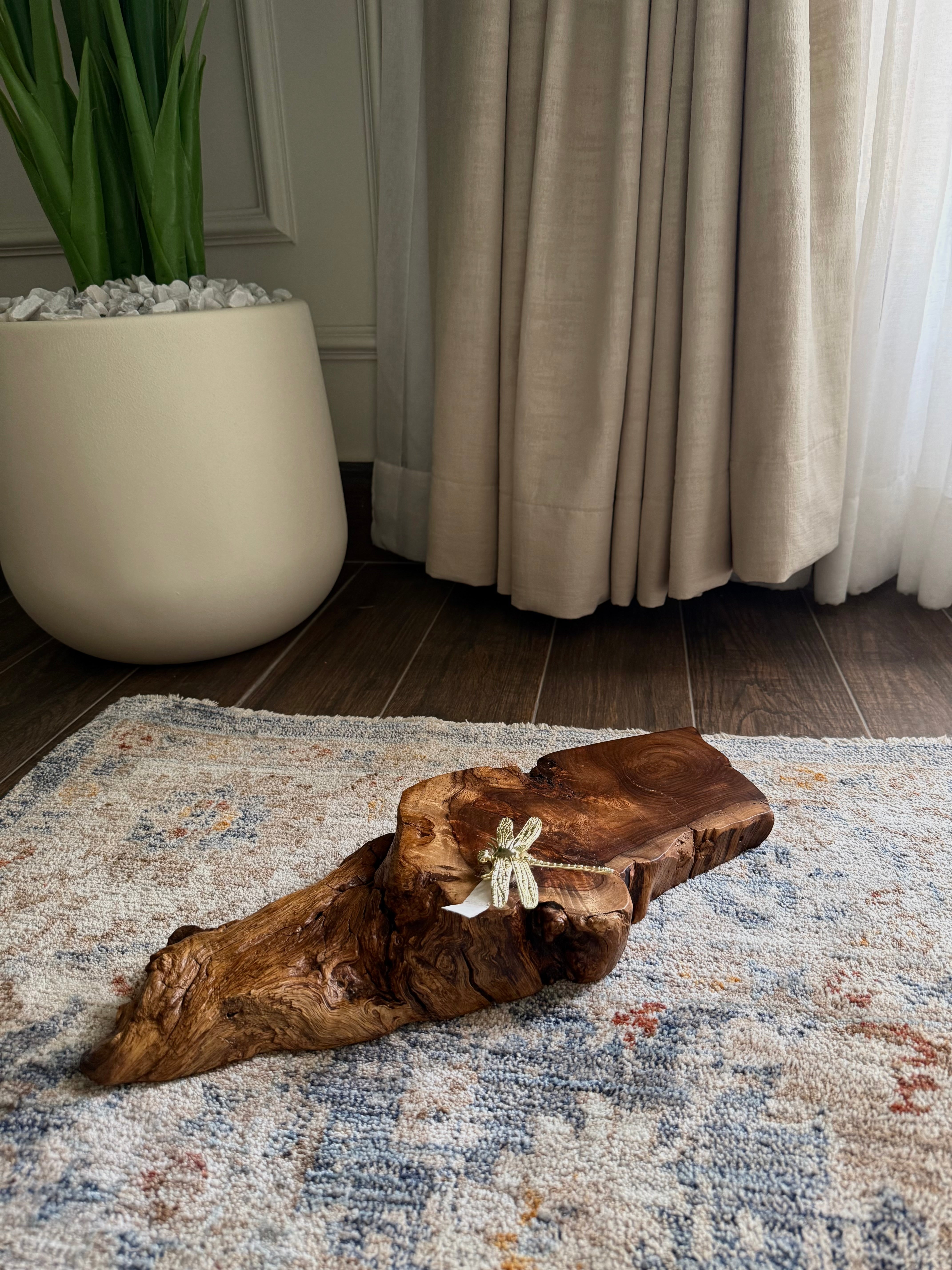 Dragonfly Tray /platter 404