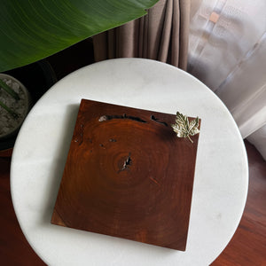 Maple leaf square coaster C05
